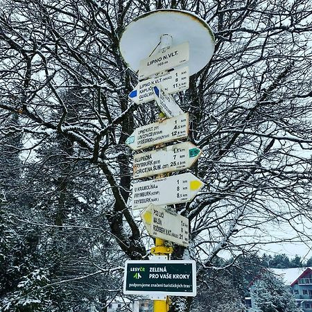 Apartmán Galerie - Lipno nad Vltavou Exteriér fotografie