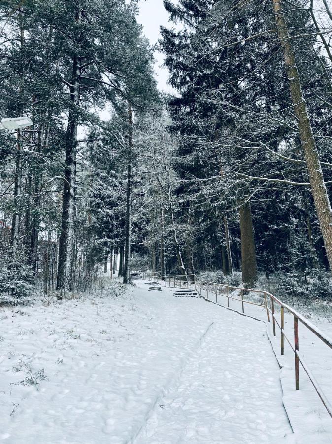 Apartmán Galerie - Lipno nad Vltavou Exteriér fotografie
