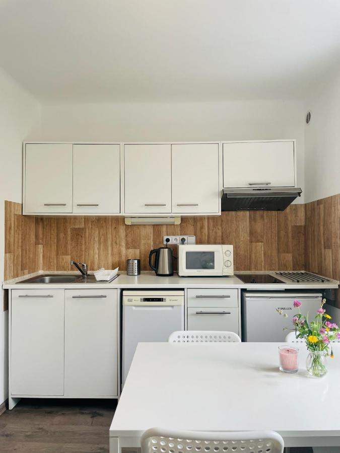 Apartmán Galerie - Lipno nad Vltavou Exteriér fotografie