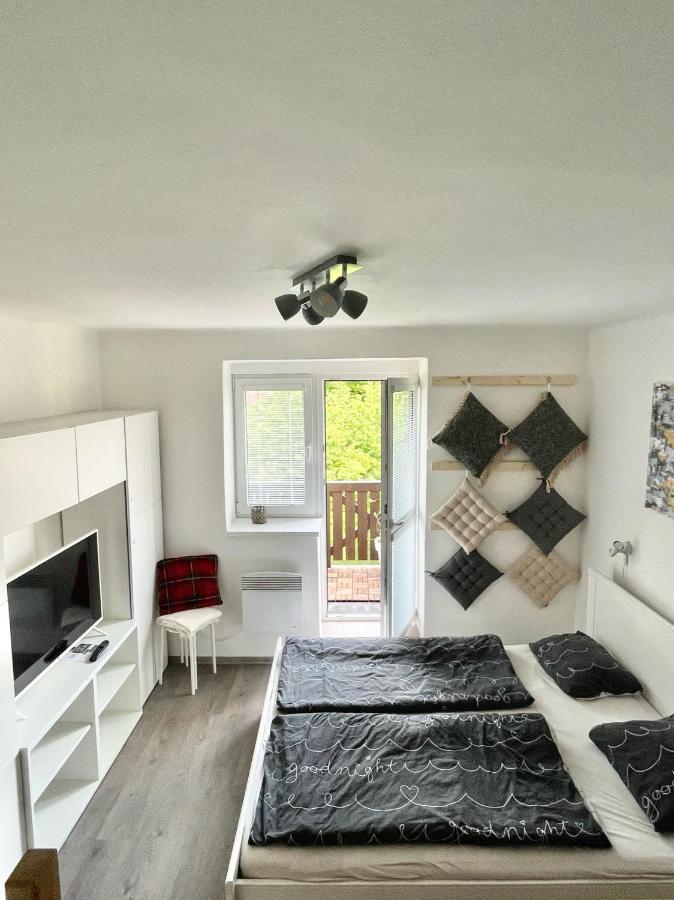 Apartmán Galerie - Lipno nad Vltavou Exteriér fotografie